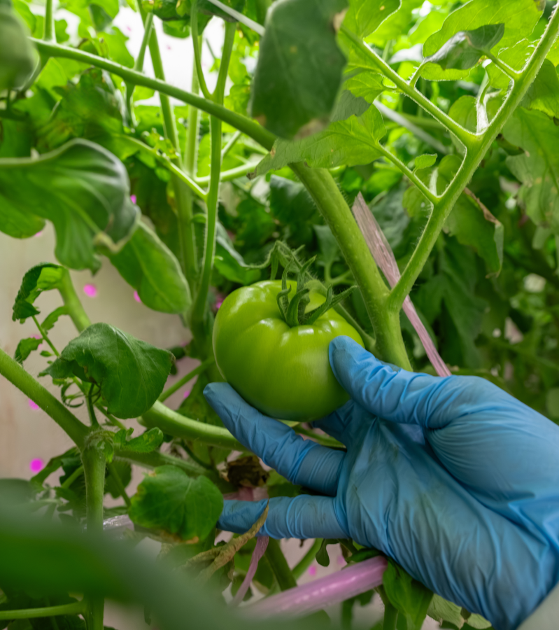 AgX controlled environment agriculture